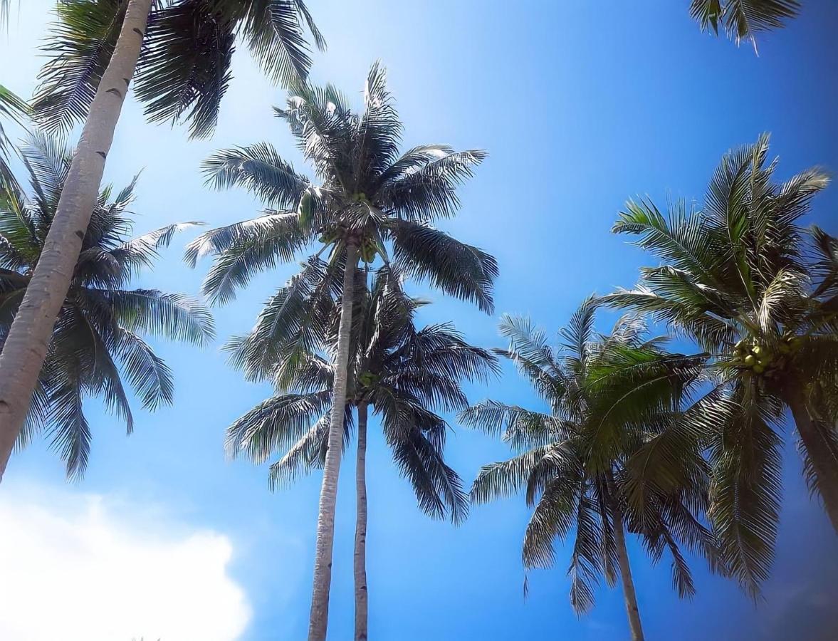 Siargao Sunflower Suites General Luna  Bagian luar foto