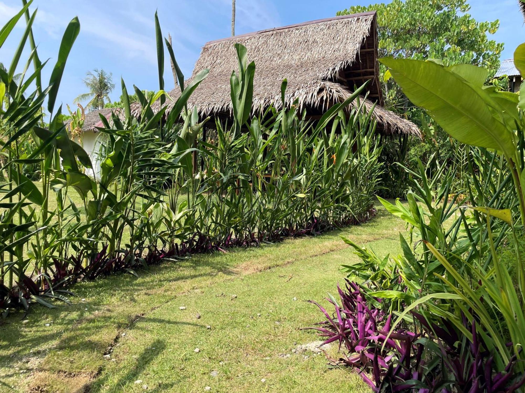 Siargao Sunflower Suites General Luna  Bagian luar foto