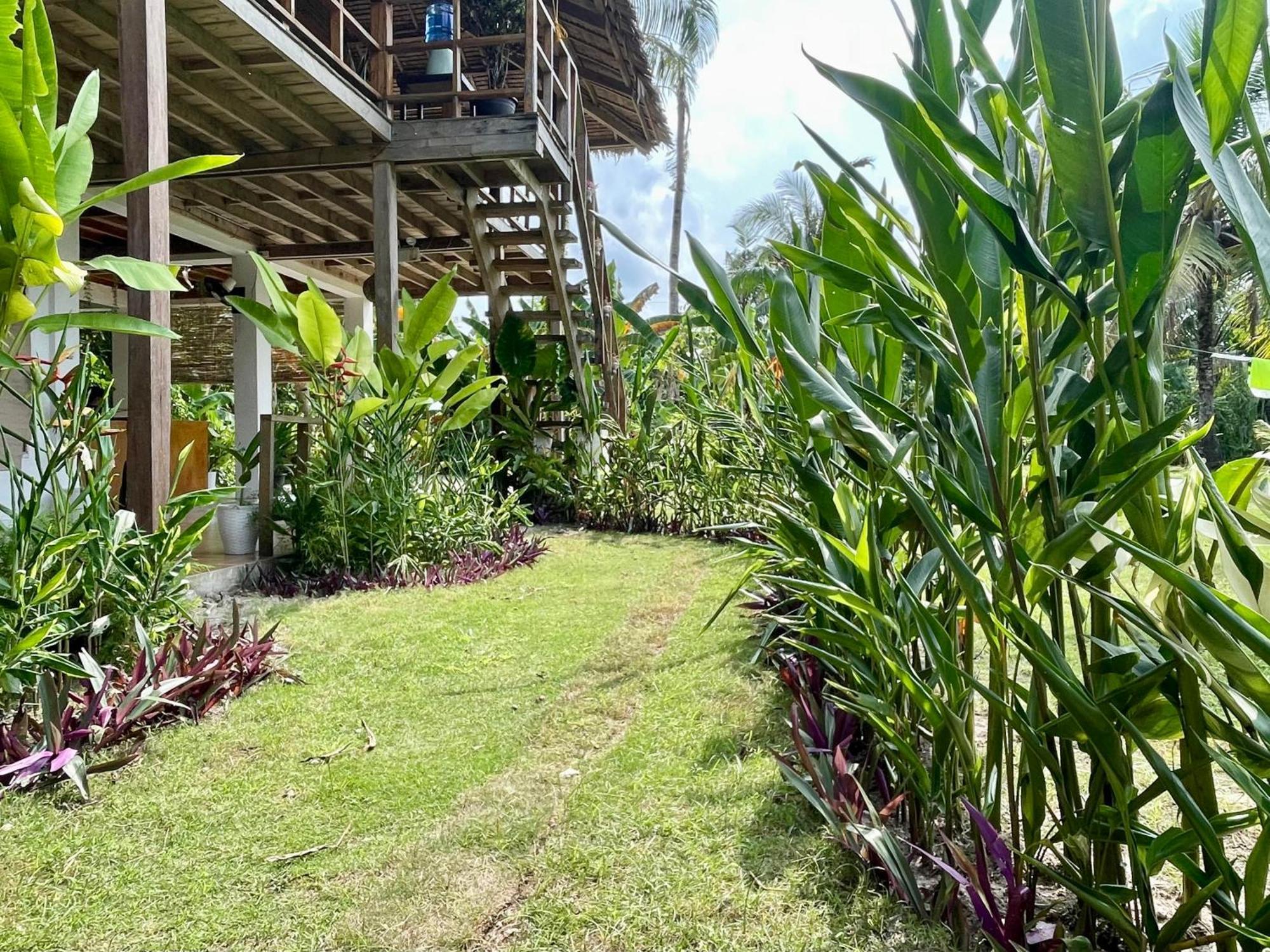 Siargao Sunflower Suites General Luna  Bagian luar foto